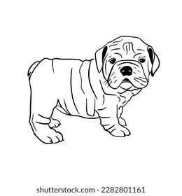 Vector sketch hand drawn bulldog puppy with black lines