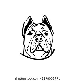 Vector sketch hand drawn cane corso silhouette in front view, line art with black lines on white background