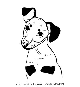 Vector sketch hand drawn dachshund puppy, doodle style with black lines