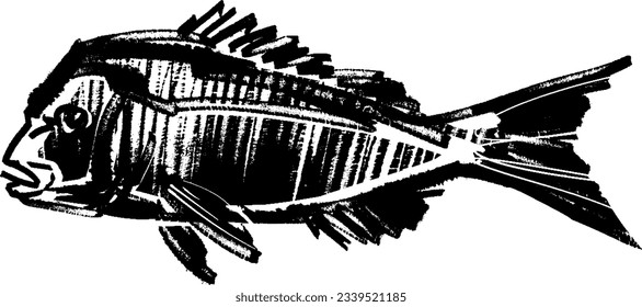vector sketch of the hand drawn fish