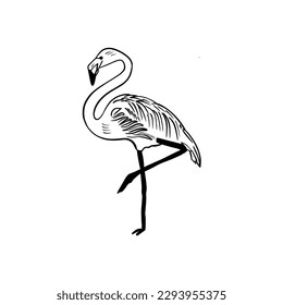 Vector sketch hand drawn flamingo silhouette, line art with black lines on white background