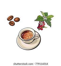 vector sketch hand drawn fried black coffee beans, coffee tree branch with berries, leaves and flowers and ceramic cup of hot coffee. Isolated illustration on a white background.