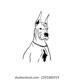 Vector sketch hand drawn Great Dane silhouette, line art with black lines on white background