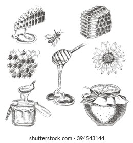 vector sketch hand drawn honey elements. healthy collection of jam, honey, bee, flower, honey calls vintage food illustration