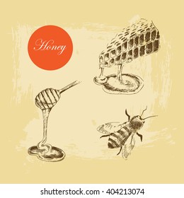 vector sketch hand drawn honey elements. healthy collection of honey, bee, honey cells vintage food illustration