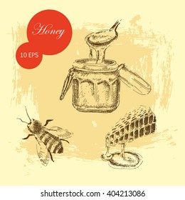 vector sketch hand drawn honey elements. healthy collection of honey, bee, honey cells vintage food illustration