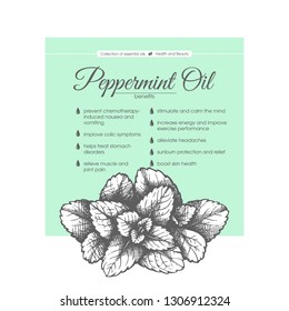 Vector sketch hand drawn illustration of pepprmint. Hair care, skin care cosmetic. Benefits essential oil