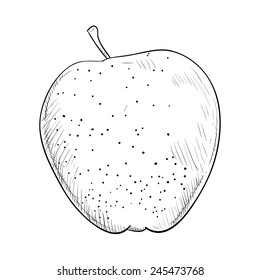 Vector sketch hand drawn illustration of apple