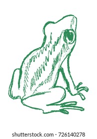 vector, sketch, hand drawn illustration of tree frog