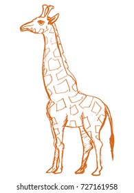 vector, sketch, hand drawn illustration of giraffe