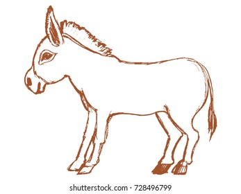 vector, sketch, hand drawn illustration of donkey