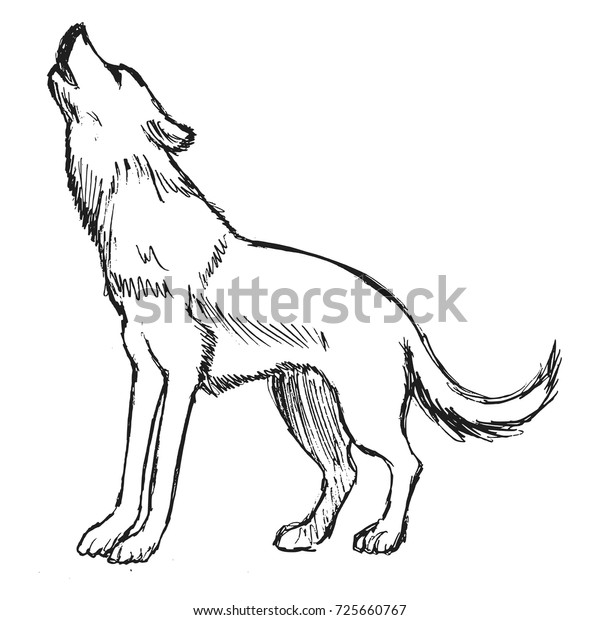 1,969 Howling Wolf Hand Drawn Images, Stock Photos & Vectors | Shutterstock