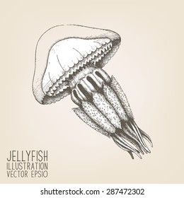 Vektorillustration Skizze von handgezogenen Quallen einzeln auf Weiß. Vintage-Qualle-Illustration