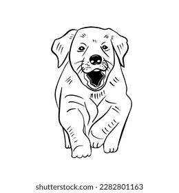 Esbozo de vectores labrador dibujado a mano