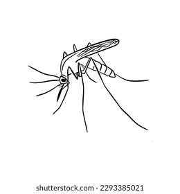 Vector sketch hand drawn mosquito silhouette, line art with black lines on white background