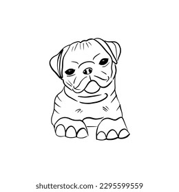 Vector sketch hand drawn silhouette of a cute pug puppy,doodle art with black lines on a white background