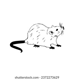 Vector sketch hand drawn silhouette of a mouse, line art
