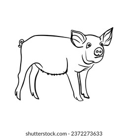 Vector sketch hand drawn silhouette of a pig, line art