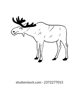 Esbozo vectorial silueta dibujada a mano de un alce, arte de línea 