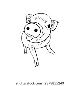Esbozo vectorial silueta dibujada a mano de un cerdo que muestra su lengua, arte de línea