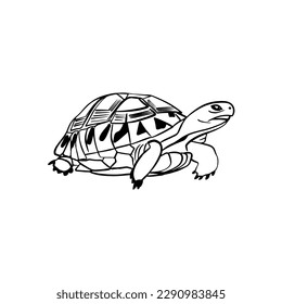 Vector sketch hand drawn turtle silhouette, doodle style with black lines