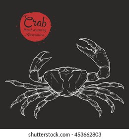 Vector sketch handmade sea crab isolated on dark background. Linear silhouette of seafood in vintage style