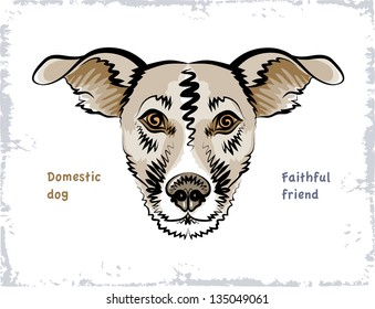 The vector sketch of the head of domestic dog who looks at the owner.