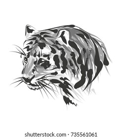 Vector sketch of the head of the tiger