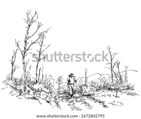 Vector sketch of a hiker with backpack and poles walking through a forest trail, symbolizing outdoor adventure, solitude, travel and exploration in nature