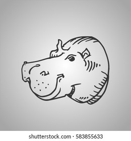 vector sketch of hippopotamus