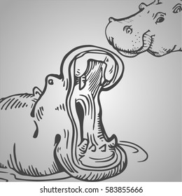 vector sketch of hippopotamus