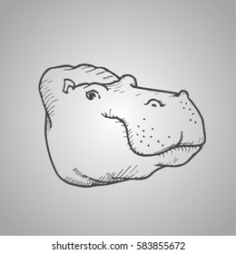vector sketch of hippopotamus