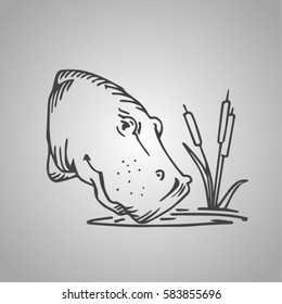 vector sketch of hippopotamus