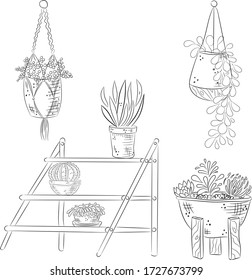 Vector sketch of home plants in pots. 