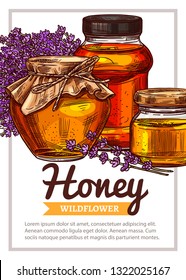 Vector sketch honey poster or card. Template and design for beekiping business with hand drawn illustrations of lavender, jars and pots with typography