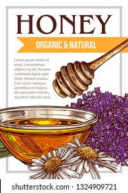 Vector sketch honey poster or card. Template and design for beekiping business with hand drawn illustrations of lavender, chamomiles, glass bowl, honey stick with typography