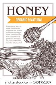 Vector sketch honey poster or card. Template and design for beekiping business with hand drawn illustrations of lavender, chamomiles, glass bowl, honey stick with typography
