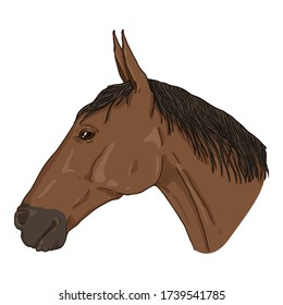 Vector Sketch Pferdekopf. Seitenansicht Equine Portrait.