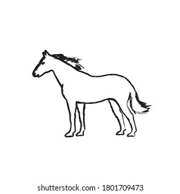 Vector sketch horse icon isolated on white