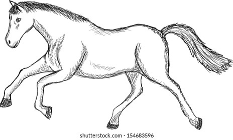 Vector sketch of a horse jump young stallion running
