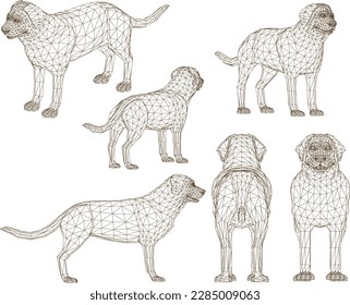 Vector sketch of a house keeper pet dog