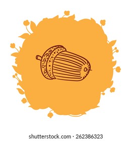 Vector sketch illustration - acorn