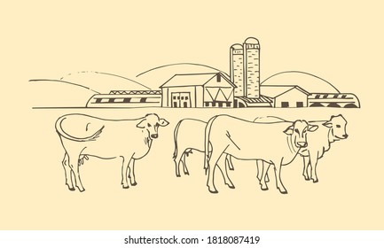 Vector sketch illustration of an agricultural farm, agri business, with agricultural hangars, silo tower, cows on pasture. Hand drawing in a retro style