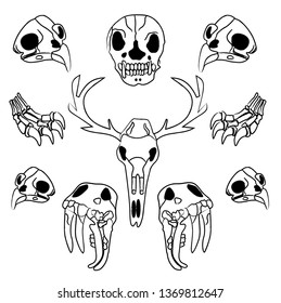 Vector sketch illustration animal skull. Drawing by hand. Boho style. Use for posters, postcards, print for t-shirt, tattoo. - Векторная графика