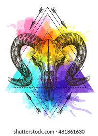 Vector sketch illustration  animal skull. Drawing by hand. Boho style. Use for posters, postcards, print for t-shirt, tattoo.