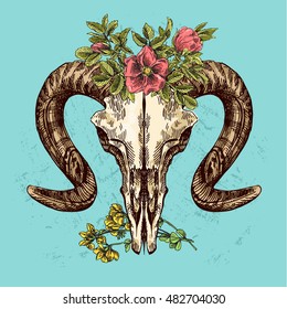 Vector sketch illustration  animal skull. Drawing by hand. Boho style. Use for posters, postcards, print for t-shirt, tattoo.