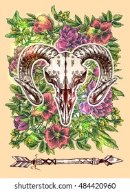 Vector sketch illustration  animal skull. Drawing by hand. Boho style. Use for posters, postcards, print for t-shirt, tattoo.