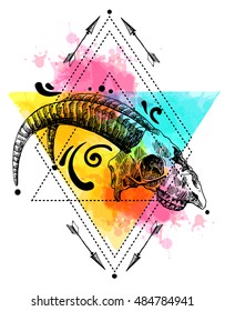 Vector sketch illustration  animal skull. Drawing by hand. Boho style. Use for posters, postcards, print for t-shirt, tattoo.
