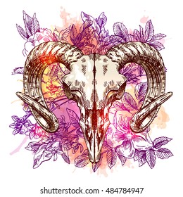 Vector sketch illustration  animal skull. Drawing by hand. Boho style. Use for posters, postcards, print for t-shirt, tattoo.