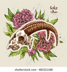 Vector sketch illustration  animal skull. Drawing by hand. Boho style. Use for posters, postcards, print for t-shirt, tattoo.